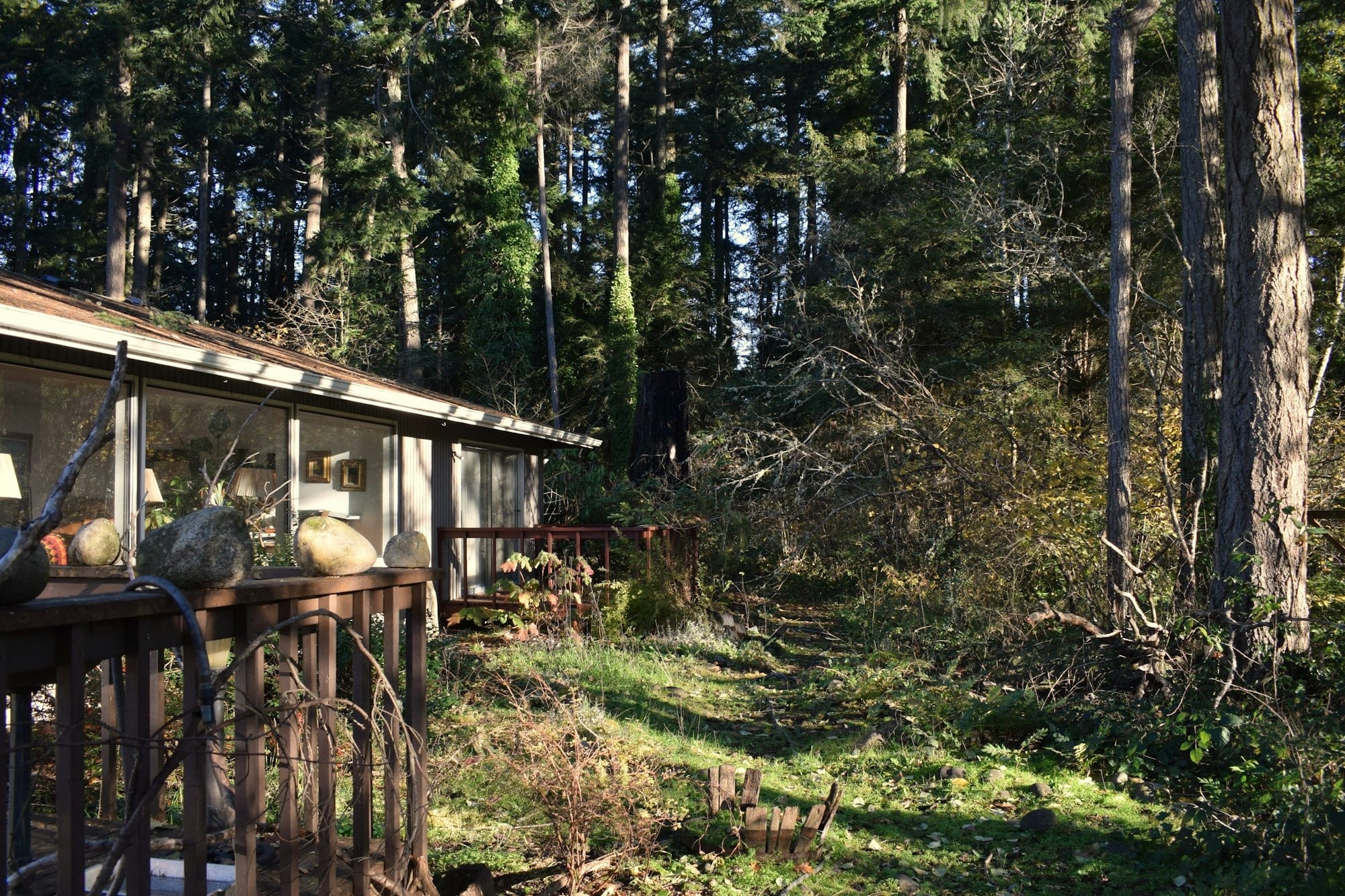 The Weekly: Wildfire and the WUI - why disaster costs keep rising