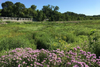 Local Governments Can Be Champions for Flood Management: A Case Study from Algonquin, Illinois