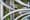 What is Resilient Critical Infrastructure?